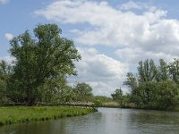 NL, Noord-Brabant, Drimmelen, Keesjes Jan Killeke 5, Saxifraga-Jan van der Straaten