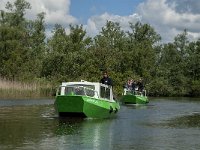 NL, Noord-Brabant, Drimmelen, Keesjes Killeke 6, Saxifraga-Jan van der Straaten