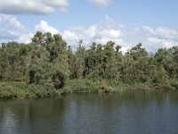 NL, Noord-Brabant, Drimmelen, Middelste Gat van het Zand 16, Saxifraga-Willem van Kruijsbergen