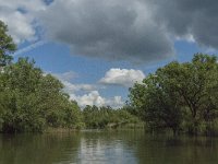 NL, Noord-Brabant, Drimmelen, Sloot van St Jan 5, Saxifraga-Jan van der Straaten