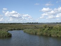 NL, Noord-Brabant, Drimmelen, Steurgat, Polder Moordplaat 8, Saxifraga-Willem van Kruijsbergen