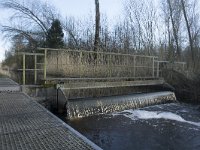 NL, Noord-Brabant, Meierijstad, Wijboschbroek 13, Saxifraga-Willem van Kruijsbergen