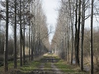 NL, Noord-Brabant, Meierijstad, Wijboschbroek 15, Saxifraga-Willem van Kruijsbergen