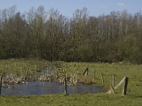 NL, Noord-Brabant, Oirschot, De Mortelen 15, Saxifraga-Jan van der Straaten