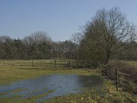 NL, Noord-Brabant, Oirschot, De Mortelen 22, Saxifraga-Jan van der Straaten