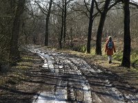 NL, Noord-Brabant, Oirschot, De Mortelen 26, Saxifraga-Jan van der Straaten