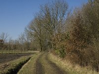 NL, Noord-Brabant, Oirschot, De Mortelen 28, Saxifraga-Jan van der Straaten