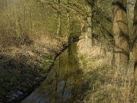 NL, Noord-Brabant, Oirschot, De Mortelen 29, Saxifraga-Jan van der Straaten