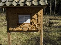 NL, Noord-Brabant, Oirschot, Heerenbeek 25, Saxifraga-Jan van der Straaten