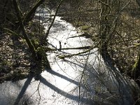 NL, Noord-Brabant, Oirschot, Heerenbeek 31, Saxifraga-Jan van der Straaten