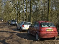 NL, Noord-Brabant, Oirschot, Heerenbeek 43, Saxifraga-Jan van der Straaten