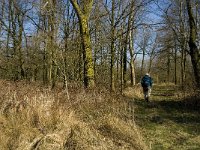 NL, Noord-Brabant, Oirschot, Heerenbeek 48, Saxifraga-Marijke  Verhagen