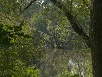 NL, Noord-Brabant, Tilburg, Leemkuilen 5, Saxifraga-Jan van der Straaten