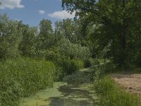 NL, Noord-Brabant, Tilburg, Zandkantse Leij 1, Saxifraga-Jan van der Straaten