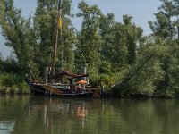 NL, Zuid-Holland, Dordrecht, Doode Kikvorschkil 8, Saxifraga-Jan van der Straaten