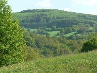 CZ, Hodonin, Bile Karpaty, Javornik, Jazevci 2, Saxifraga-Jan  Willem Jongepier