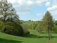 CZ, Hodonin, Bile Karpaty, Suchov, Suchovske Mlyny 1, Saxifraga-Jan  Willem Jongepier