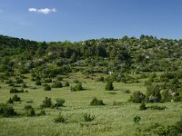 F, Aveyron, Causse du Larzac 4, Saxifraga-Dirk Hilbers