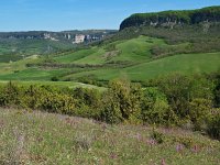 F, Aveyron, Saint Beaulize 1, Saxifraga-Hans Dekker