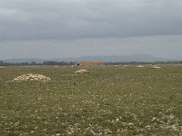 F, Bouches-du-Rhone, Saint Martin-de-Crau, Peau de Meau 25, Saxifraga-Willem van Kruijsbergen