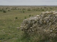 F, Bouches-du-Rhone, Saint Martin-de-Crau, Peau de Meau 5, Saxifraga-Willem van Kruijsbergen