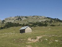 F, Drome, Treschenu-Creyers, Abri de l' Essaure 11, Saxifraga-Willem van Kruijsbergen