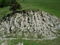 F, Drome, Treschenu-Creyers, Col de Menee 13, Saxifraga-Willem van Kruijsbergen