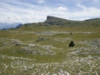 F, Drome, Treschenu-Creyers, Montagnette 1, Saxifraga-Willem van Kruijsbergen