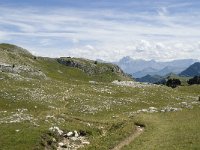 F, Drome, Treschenu-Creyers, Vallon de Combeau 102, Saxifraga-Willem van Kruijsbergen