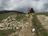 F, Drome, Treschenu-Creyers, Vallon de Combeau 34, Saxifraga-Jan van der Straaten