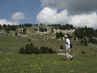 F, Drome, Treschenu-Creyers, Vallon de Combeau 39, Saxifraga-Marijke Verhagen