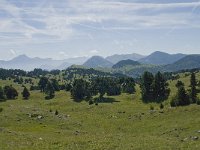 F, Drome, Treschenu-Creyers, Vallon de Combeau 76, Saxifraga-Willem van Kruijsbergen