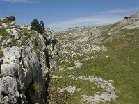 F, Drome, Treschenu-Creyers, Vallon de Combeau 86, Saxifraga-Willem van Kruijsbergen