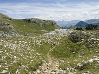 F, Drome, Treschenu-Creyers, Vallon de Combeau 90, Saxifraga-Willem van Kruijsbergen