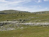 F, Drome, Treschenu-Creyers, Vallon de Combeau 91, Saxifraga-Willem van Kruijsbergen