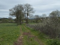 F, Haute-Loire, Cayres 2, Saxifraga-Willem van Kruijsbergen