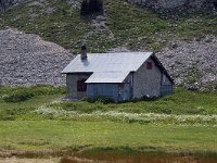 F, Isere, Chichilianne, Bergerie du Pas de l Aiguille 1, Saxifraga-Jan van der Straaten