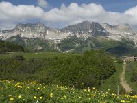 F, Isere, Gresse-en-Vercors, Balcon Est 26, Saxifraga-Jan van der Straaten