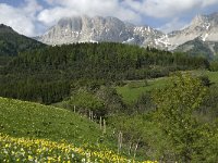 F, Isere, Gresse-en-Vercors, Grand Veymont 21, Saxifraga-Jan van der Straaten