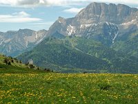 F, Isere, Gresse-en-Vercors, Grand Veymont 26, Saxifraga-Willem van Kruijsbergen