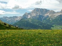 F, Isere, Gresse-en-Vercors, Grand Veymont 27, Saxifraga-Willem van Kruijsbergen