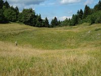 F, Isere, Gresse-en-Vercors, Menil 4, Saxifraga-Jan van der Straaten