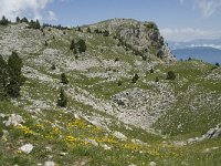 F, Isere, Gresse-en-Vercors, Pas de la Selle 18, Saxifraga-Willem van Kruijsbergen