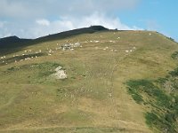 F, Isere, Gresse-en-Vercors, Pas du Serpaton 14, Saxifraga-Jan van der Straaten