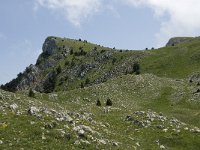 F, Isere, Gresse-en-Vercors, Rocher de Chamoux 1, Saxifraga-Willem van Kruijsbergen