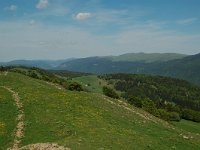 F, Jura, la Pesse, Crete au Merle 1, Saxifraga-Willem van Kruijsbergen