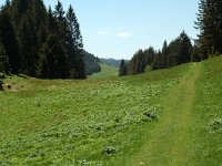 F, Jura, la Pesse, combe a Malatrait 1, Saxifraga-Willem van Kruijsbergen