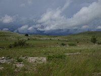 F, Lozere, Causse Mejean 10, Saxifraga-Dirk Hilbers