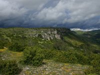 F, Lozere, Causse Mejean 12, Saxifraga-Dirk Hilbers