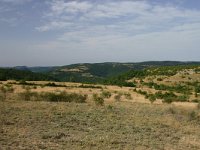 F, Lozere, Causse Noir 3, Saxifraga-Dirk Hilbers